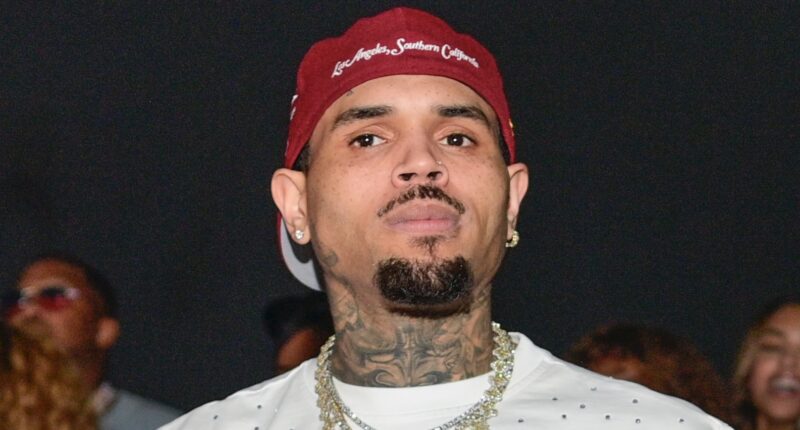 Whew! Diamond Brown Reportedly Files Paternity Suit Seeking Custody & Legal Fees Against Chris Brown
