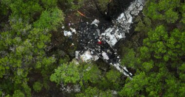 Five pickleball players killed in horrific plane crash on way to tournament identified