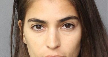 Former American Idol contestant Antonella Barba has been arrested on a domestic violence charge in her latest run-in with the law; pictured in a 2018 mugshot from a previous arrest