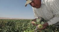 Free Solar Panels for Illegal Aliens – RedState