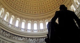 GOP Lawmaker Pushes House to Expunge Trump’s ‘Maliciously False’ Impeachments. – The National Pulse