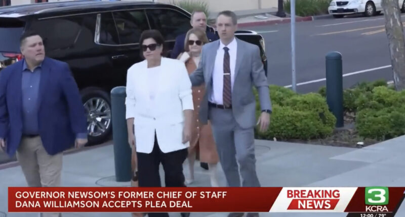 Gavin Newsom's Former Chief of Staff Pleads Guilty To Fraud