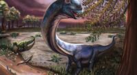 Giant Dinosaur Skeleton Found In Thailand, The Nagatitan, May Be The Largest Dinosaur Of The Region