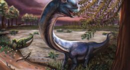 Giant Dinosaur Skeleton Found In Thailand, The Nagatitan, May Be The Largest Dinosaur Of The Region