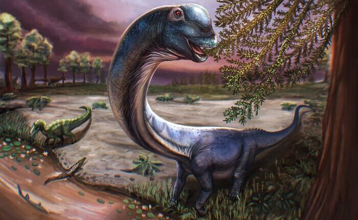 Giant Dinosaur Skeleton Found In Thailand, The Nagatitan, May Be The Largest Dinosaur Of The Region