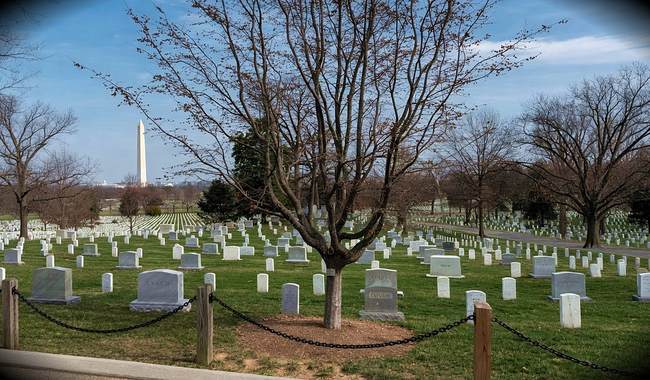 Gold Star Wife Asked for Photos of Her Husband's Arlington Cemetery Grave — and Then the Magic Happened – RedState