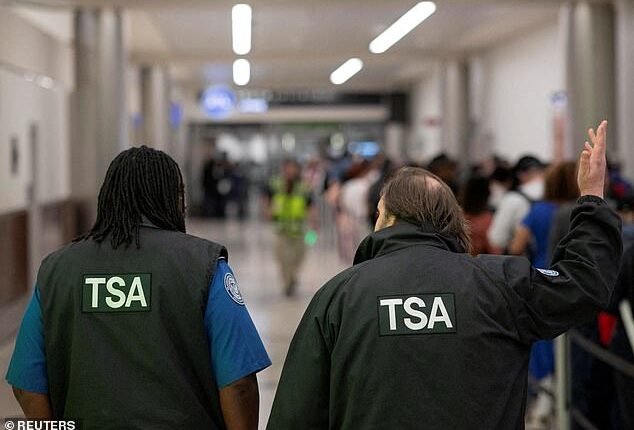 Congress appeared poised to pass funding for TSA workers on Friday before some hardline Republican's rejected their Senate counterpart's proposal