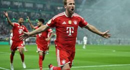 Harry Kane celebrates after heading in the opener during Bayern Munich's 3-0 German Cup final win over Stuttgart