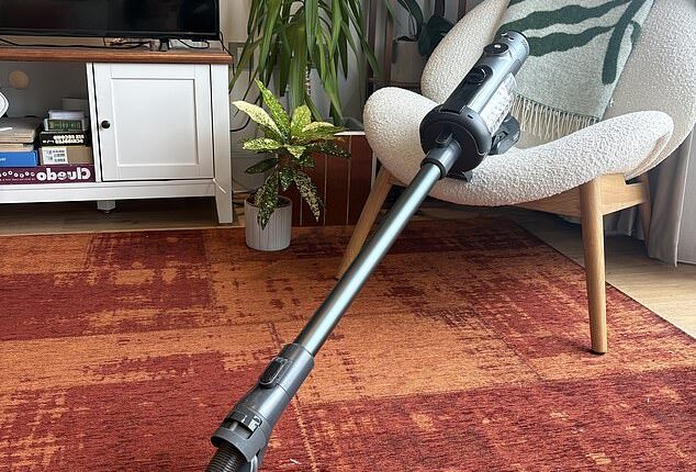 The Henry Quick Pro vacuum focuses on doing the basics really well.