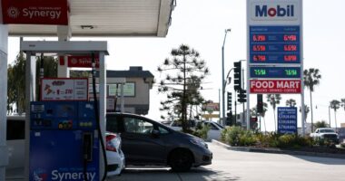 Here’s how Americans say they are dealing with record-breaking gas prices