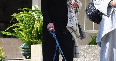 This star was spotted walking her dogs with a friend in LA on Tuesday, decades after she became a screen icon in the '70s and '80s and earned an Oscar nomination for starring in one of the most iconic films of 1969 with Natalie Wood and Elliott Gould
