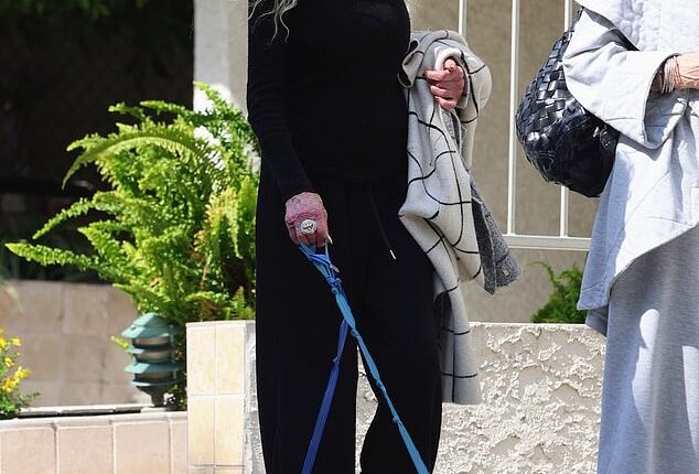This star was spotted walking her dogs with a friend in LA on Tuesday, decades after she became a screen icon in the '70s and '80s and earned an Oscar nomination for starring in one of the most iconic films of 1969 with Natalie Wood and Elliott Gould