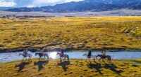 Humans were riding horses 1,000 years earlier than previously thought, new study finds