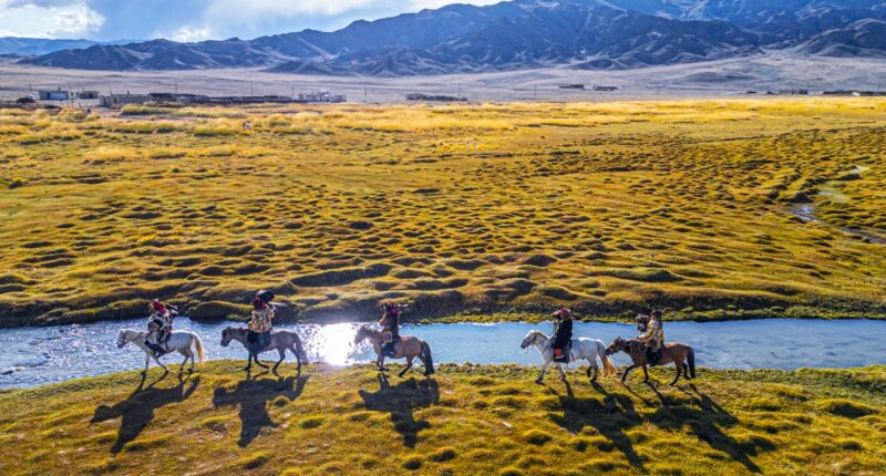 Humans were riding horses 1,000 years earlier than previously thought, new study finds