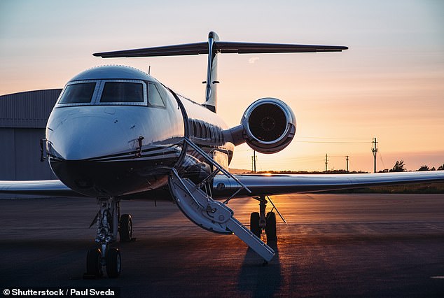 While working for A-listers and high-net-worth individuals might include rides on private jets, this kind of service job isn't for everyone (stock image)