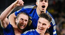 'It was one of the best things I've ever experienced in football,' says Brighton midfielder Yasin Ayari of Sweden's qualification for the World Cup