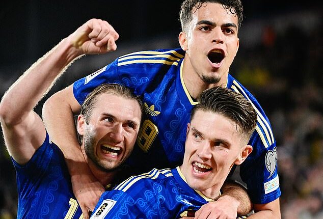 'It was one of the best things I've ever experienced in football,' says Brighton midfielder Yasin Ayari of Sweden's qualification for the World Cup