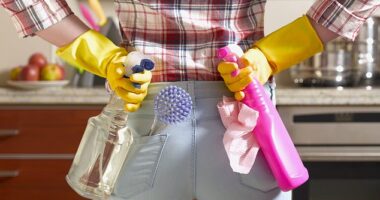 My difficult relationship with ‘the help’ stems from my childhood. I was raised by my single mum, who cleaned other people’s houses for a living