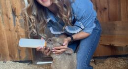 Carrie Underwood is giving her fans a glimpse inside the 400-acre farm in Franklin, Tennessee, where she lives with her family