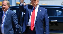 Donald Trump's legal team is seeking to cancel the trademark for a California wine, despite the branding being pro-Trump, the Daily Mail can reveal