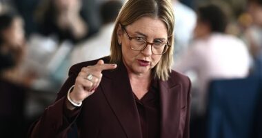 Victorian Premier Jacinta Allan (pictured) has angrily shot down plans to bar soccer fans from watching the upcoming World Cup in Melbourne's Federation Square