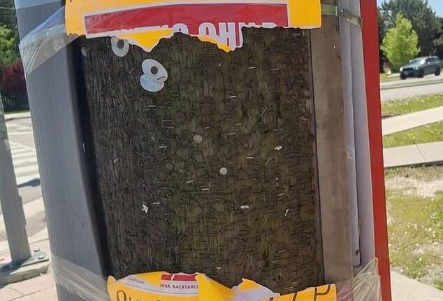 Posters pleading for help finding missing 14-year-old Esther 'Esti' were ripped down across Toronto, adding to the anguish for her worried family as fears grow for the Jewish teen's safety