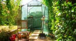 Garden expert Amber Tunney has revealed her eight tasks to add to your June gardening checklist to ensure your outdoor space stays healthy, productive and full of colour all summer