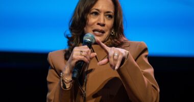 Kamala Demands Release of DNC's 2024 'Autopsy' – HotAir