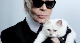 Karl Lagerfeld's beloved cat Choupette is now broke and living off the kindness of the fashion designer's former housekeeper
