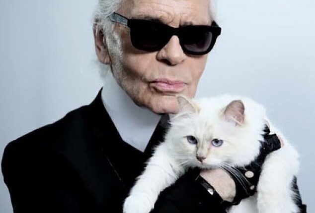 Karl Lagerfeld's beloved cat Choupette is now broke and living off the kindness of the fashion designer's former housekeeper