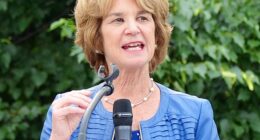 Kathleen Kennedy Townsend and younger brother Robert F Kennedy Jr. are now  deeply estranged following his support for President Donald Trump and acceptance of a Cabinet position