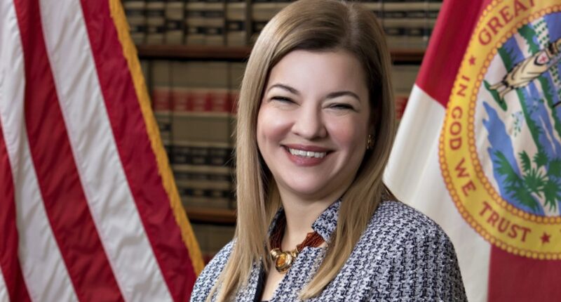 Lagoa Shows How SCOTUS Should Rule On Birthright Citizenship