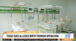 Lawmakers Open Probe Into 'Thriving Birth Tourism Economy'