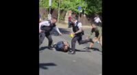 Leader of Far-Left Greens Attacks Police for Arresting Knife-Wielding Somali Terrorist Too ‘Violently.’