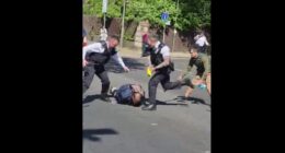 Leader of Far-Left Greens Attacks Police for Arresting Knife-Wielding Somali Terrorist Too ‘Violently.’