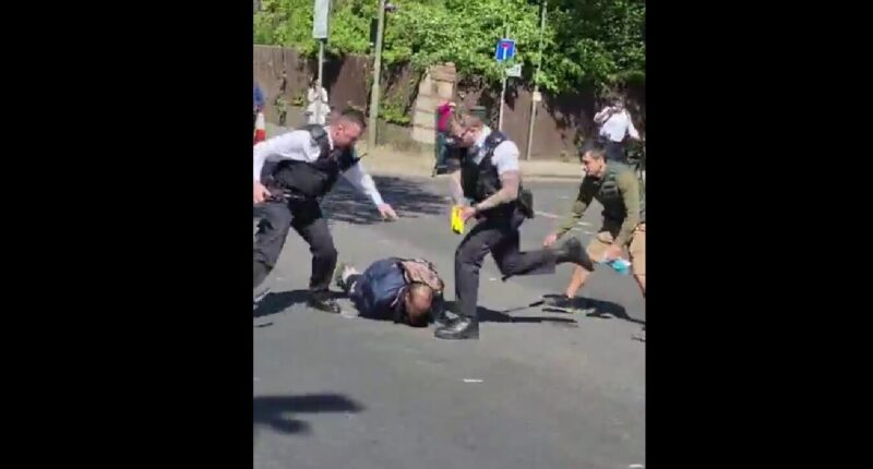 Leader of Far-Left Greens Attacks Police for Arresting Knife-Wielding Somali Terrorist Too ‘Violently.’
