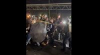 Leftist Agitators Detained Amid Clashes at ICE Facility. – The National Pulse