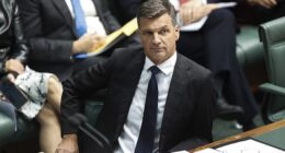 Angus Taylor (pictured) will propose limiting welfare payments, including the NDIS, to Australian citizens.