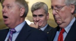 Louisiana Voters Just Ended Bill Cassidy's Senate Career After Two Terms and One Key Vote – RedState