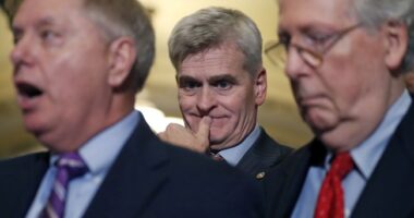 Louisiana Voters Just Ended Bill Cassidy's Senate Career After Two Terms and One Key Vote – RedState
