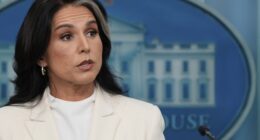 Luna Says CIA Has Taken 40 Boxes From ODNI That Gabbard Was Preparing to Declassify – RedState