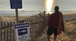 MA Sanctuary Law Advancing in Legislature – HotAir