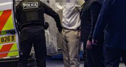 A man arrested at the wedding reception of Tyson Fury's daughter Venezuela was held on suspicion of selling alcohol to underage children, the Daily Mail understands (pictured)