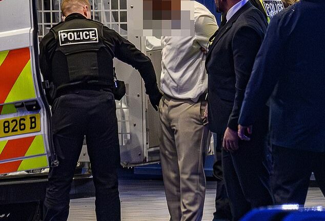 A man arrested at the wedding reception of Tyson Fury's daughter Venezuela was held on suspicion of selling alcohol to underage children, the Daily Mail understands (pictured)