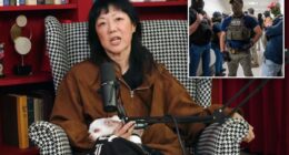 Margaret Cho blames Trump and ICE for missing out on hit HBO Max series 'Heated Rivalry'