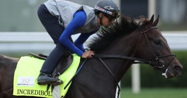 Meet the Jockey Jaime Torres, Trainer, Horse & Owners
