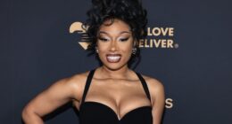 Megan Thee Stallion Drops Bikini Photos With Unexpected Companion After Mavericks Star Drama
