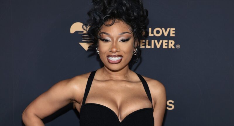 Megan Thee Stallion Drops Bikini Photos With Unexpected Companion After Mavericks Star Drama