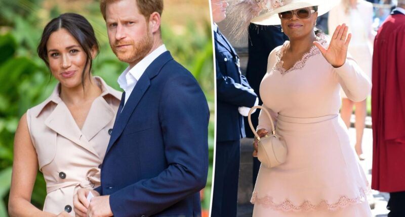 Meghan Markle and Prince Harry ditched by A-list friends but don't understand why: report