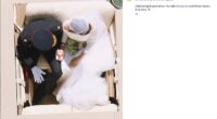 Meghan Markle posted an image of her wedding on her As Ever Instagram to celebrate her and Prince Harry's anniversary